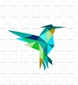 Geometrischer Kolibri